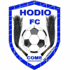 霍迪奥 队徽